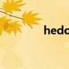 hedone创始人（hedone）