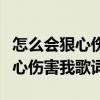 怎么会狠心伤害我歌词表达的意思（怎么会狠心伤害我歌词）