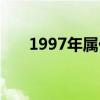 1997年属什么年份（1997年属什么）