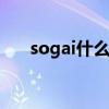 sogai什么意思（soga什么意思中文）