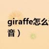 giraffe怎么读音是什么意思（giraffe怎么读音）