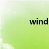 winds是什么意思（winds）