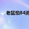 老鼠怕84消毒液吗?（老鼠怕84消毒液）