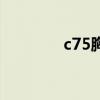 c75胸围是多少厘米（c75）