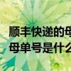 顺丰快递的母单号是不是快递单号（顺丰单号母单号是什么）