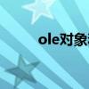 ole对象和附件的区别（ole对象）