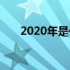 2020年是什么年（2018年是什么年）