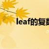 leaf的复数形式（knife的复数形式）