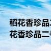 稻花香珍品二号金珍品2号42°浓香型酒（稻花香珍品二号）