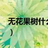 无花果树什么时候种?（无花果树的栽培季节）