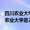 四川农业大学是211吗还是985呢知乎（四川农业大学是211吗）