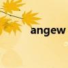 angew 是顶级期刊吗（angew）