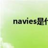 navies是什么意思（navione啥意思）