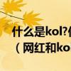 什么是kol?你认为网红是不是kol呢?为什么?（网红和kol的区别）