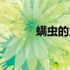 螨虫的危害视频（螨虫的危害）