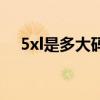 5xl是多大码多少斤人穿（5xl是多大码）