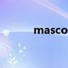 mascotte哪国牌子（mascot）