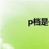 p档是什么优先（p档是什么）