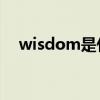 wisdom是什么意思（wise是什么意思）