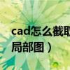 cad怎么截取局部图的一部分（cad怎么截取局部图）