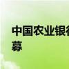 中国农业银行苏州分行2024年暑期实习生招募