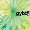 gyb培训心得体会（gyb培训）