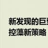 新发现的巨型病毒或有助于减缓冰融化 自然控藻新策略