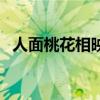 人面桃花相映红的故事（人面桃花相映红）