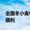 全国冬小麦收获进度已过六成 麦收总体进展顺利