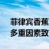 菲律宾香蕉对华出口锐减 越南成新晋龙头，多重因素致下滑