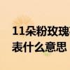 11朵粉玫瑰花代表什么意思（23朵玫瑰花代表什么意思）