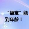 “福宝”能“谈婚论嫁”了吗 官方回应：没到年龄！