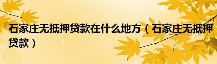 石家庄无抵押信贷公司（石家庄哪里有无抵押贷款的）