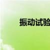 振动试验psd是什么（psd是什么）