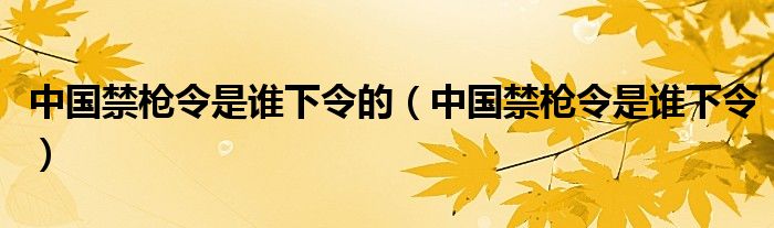 中国禁枪令的导火索（中国禁枪令谁颁布的）