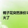 栀子花突然涨价10倍！有人“做梦都没想到”！外卖上已经火了