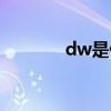 dw是什么档次（dw是什么）