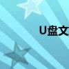 U盘文件损坏（u盘文件损坏）