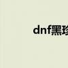 dnf黑珍珠对固伤（dnf黑珍珠）