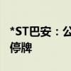 *ST巴安：公司股票将被终止上市 6月19日起停牌