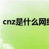 cnz是什么网络用语（cn什么意思网络用语）