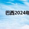 巴西2024年登革热死亡病例升至3910例