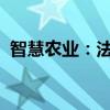 智慧农业：法院裁定受理间接控股股东重整