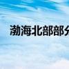 渤海北部部分海域进行军事演习 禁止驶入