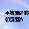 平壤挂满俄罗斯国旗和普京画像 朝迎普京访朝氛围浓