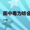 菌中毒为啥会看见“小人人”？医生解答来了→