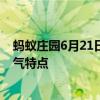 蚂蚁庄园6月21日问题答案：哪句诗描写的是夏至节气的天气特点