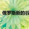 俄罗斯新的谷物出口关税将于7月1日起生效