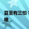 夏至有三怕 牢记“6习俗5不做” 平安度夏攻略