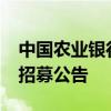 中国农业银行陕西省分行2024年暑期实习生招募公告